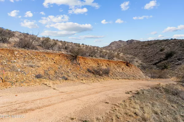 Rio Rico, AZ 85648,299 Circulo Cerro  #0