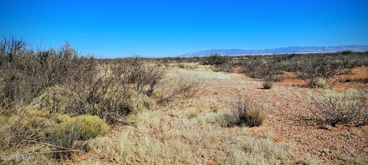 Douglas, AZ 85607,4.44 Acres W Texas Christian Drive