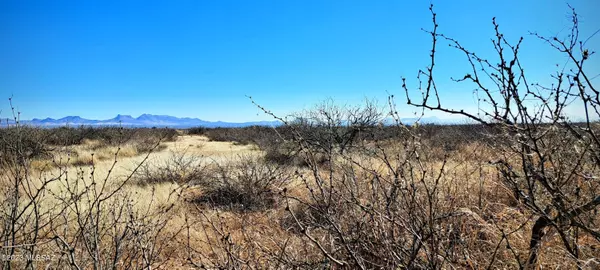 Douglas, AZ 85607,4.44 Acres W Texas Christian Drive