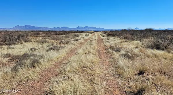 Douglas, AZ 85607,4.44 Acres W Texas Christian Drive