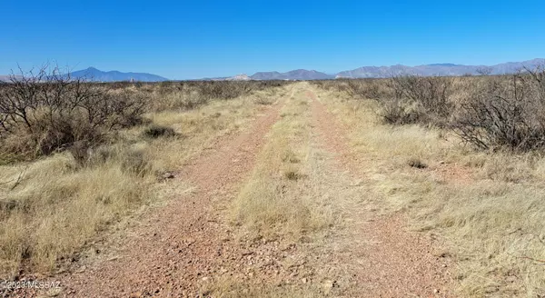 Douglas, AZ 85607,4.44 Acres W Texas Christian Drive