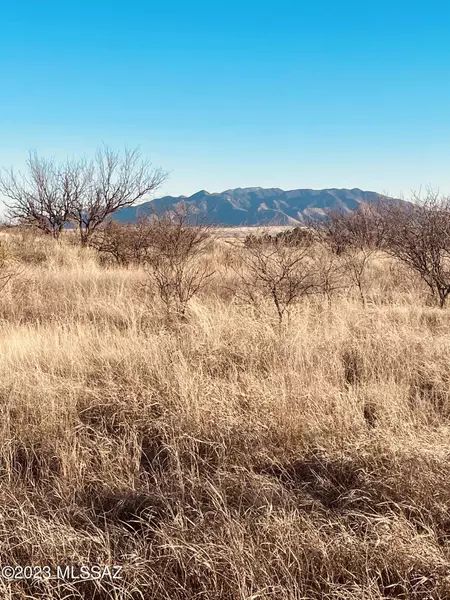 Mustang Ranch Road #TBD, Elgin, AZ 85611