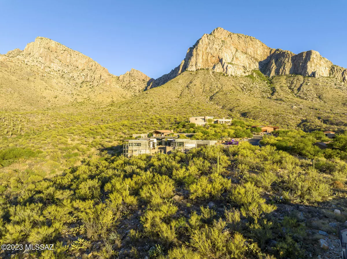 Oro Valley, AZ 85737,9860 N Carodera Canyon Place #11