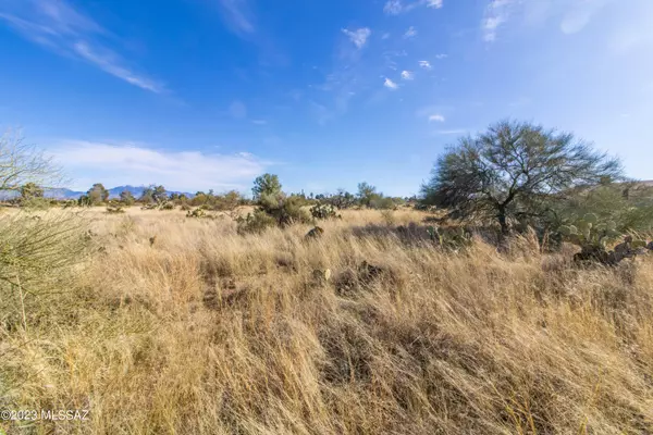 Corona De Tucson, AZ 85641,102 S Montgomery Avenue #97