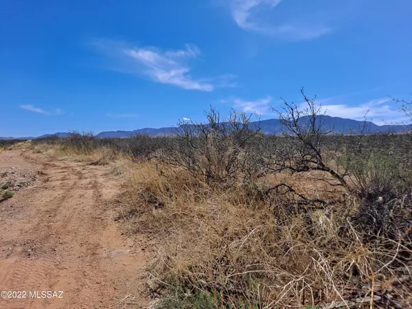 Pearce, AZ 85625,5 Acres Sherwood Road #-