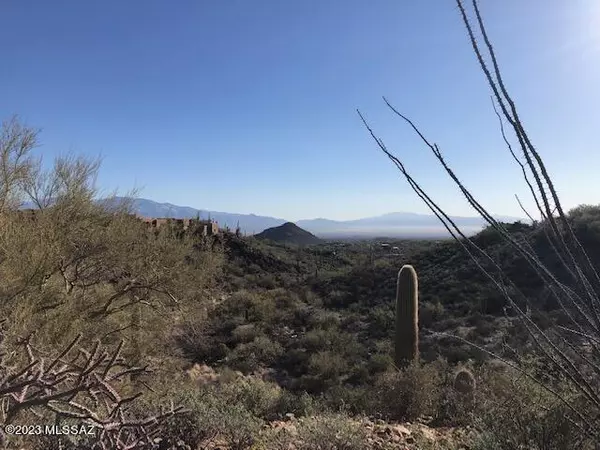 Tucson, AZ 85745,W El Camino del Cerro