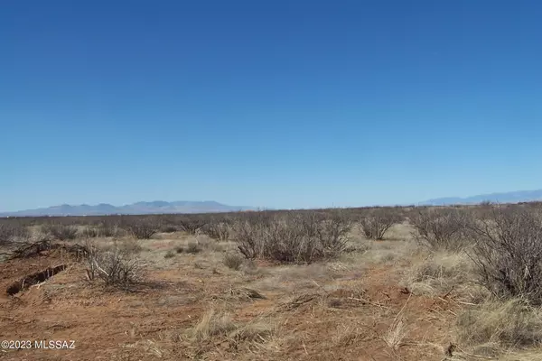 Willcox, AZ 85643,20.0ac Off E Chambers Road #184