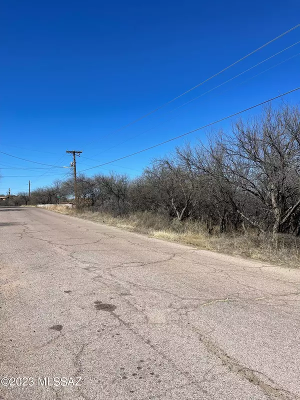 Rio Rico, AZ 85648,950 Via Rosamorada  #29