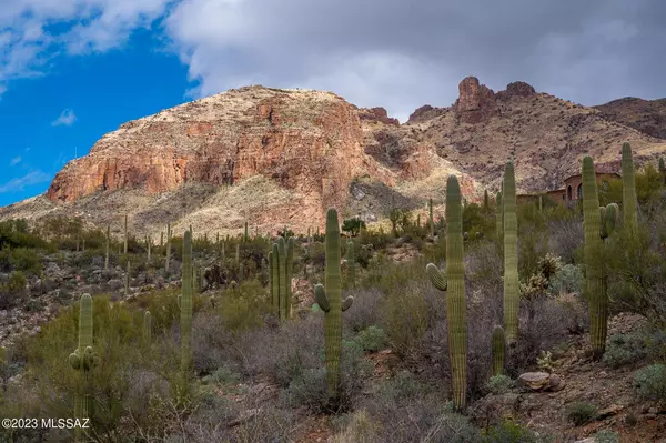 3548 E Secret Canyon Place  #60, Tucson, AZ 85718