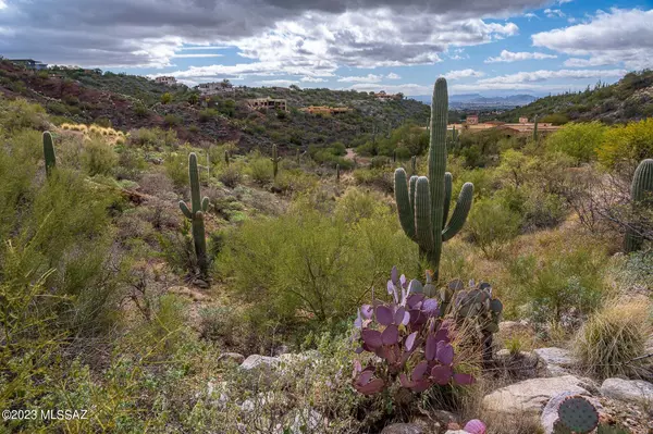 Tucson, AZ 85718,3588 E Secret Canyon Place  #61