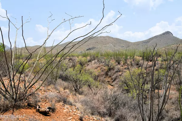 0 E Ocotillo Rim Trail, Vail, AZ 85641