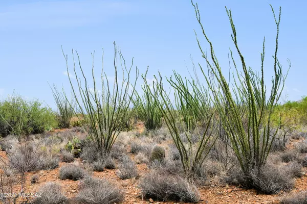 Vail, AZ 85641,0 E Ocotillo Rim Trail