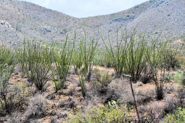 Vail, AZ 85641,0 E Ocotillo Rim Trail