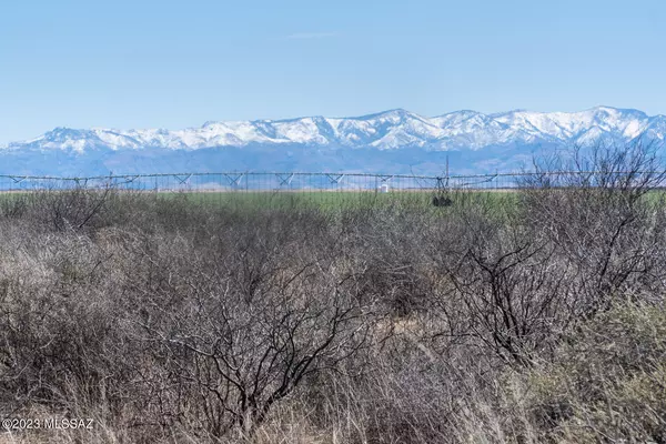 Willcox, AZ 85643,80 Acres E Arzberger East Road #0