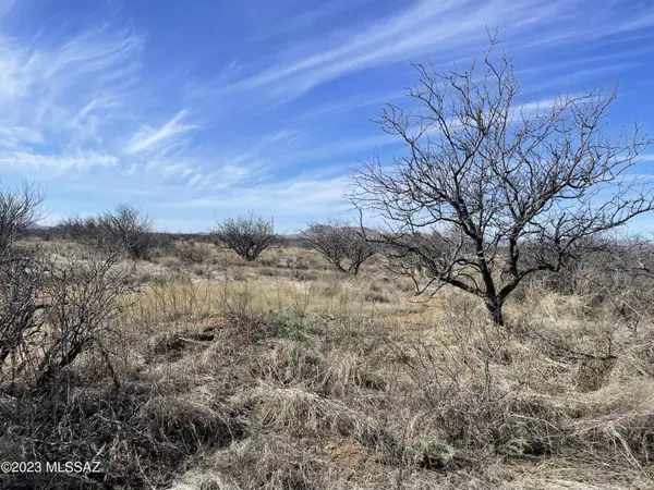 Pearce, AZ 85625,Tbd 6.51ac S Clovis Road #-