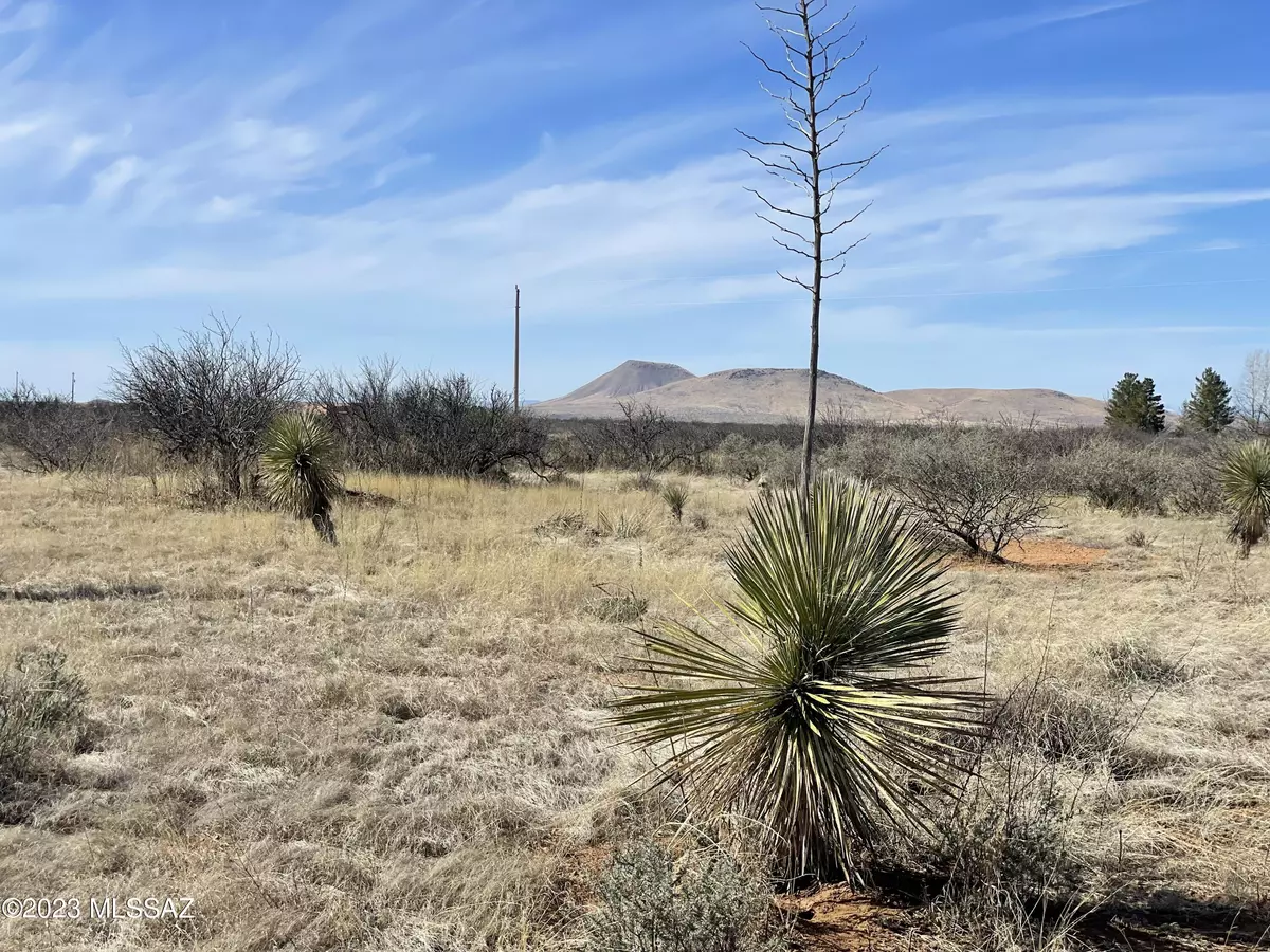 Pearce, AZ 85625,Tbd 6.51ac S Clovis Road #-