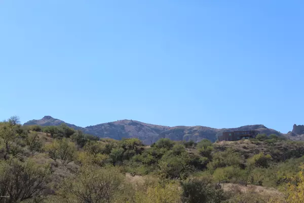 Tubac, AZ 85646,TBD Whitetail Lane #2