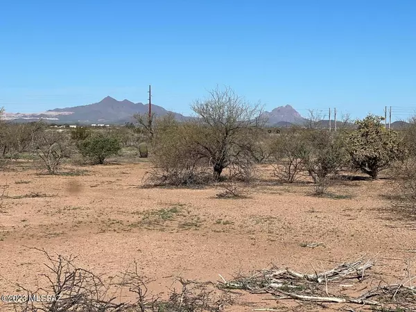 Tucson, AZ 85743,TBD Cherry Blossom Road