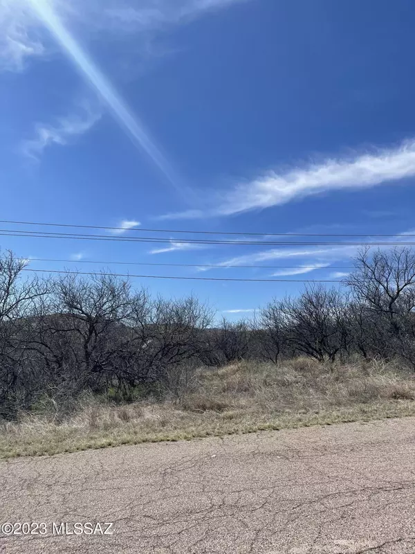 Rio Rico, AZ 85648,1555 Circulo Sombrero