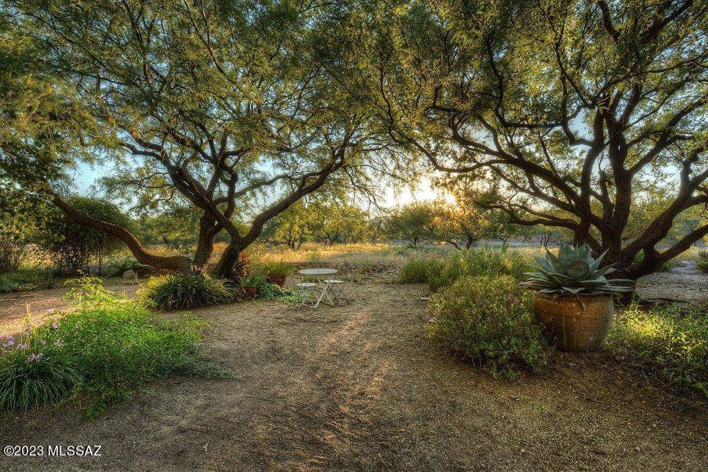 TBD Circulo De Anza  #59, Tubac, AZ 85646
