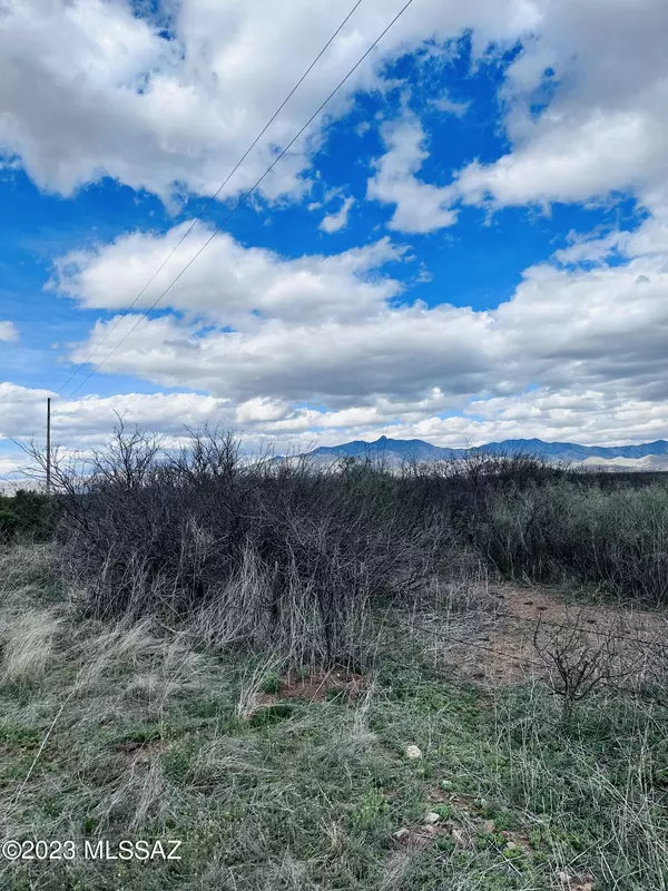 40.13 ACRE S Narita Lane #164, Willcox, AZ 85643