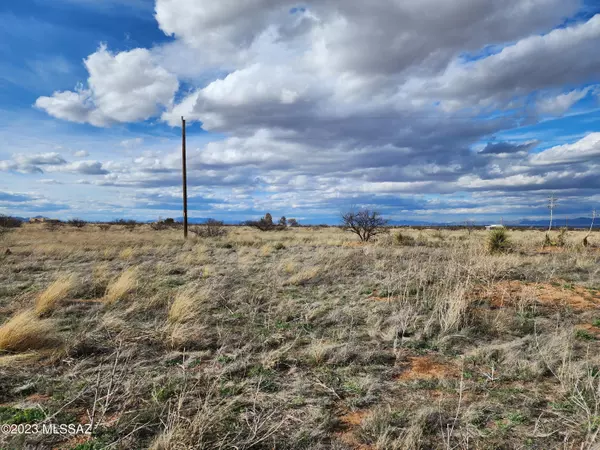 Pearce, AZ 85625,1.65 Acres Rising Street #14 &15