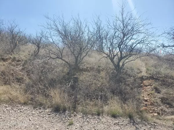 Rio Rico, AZ 85648,241 Camino Mirador  #126