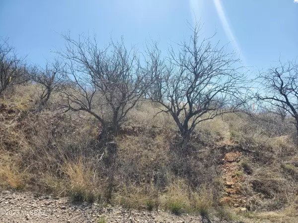 Rio Rico, AZ 85648,241 Camino Mirador  #126