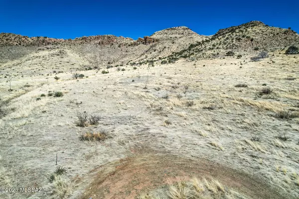 Willcox, AZ 85643,TBD 24 AC S Pinery Canyon Road #d