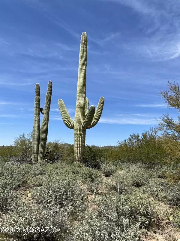 Marana, AZ 85658,160acres S Guild Road