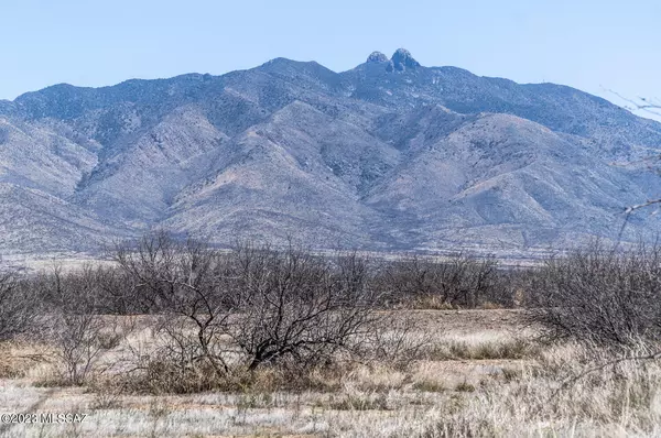 4 Acres S Collins Farm Road, Willcox, AZ 85643