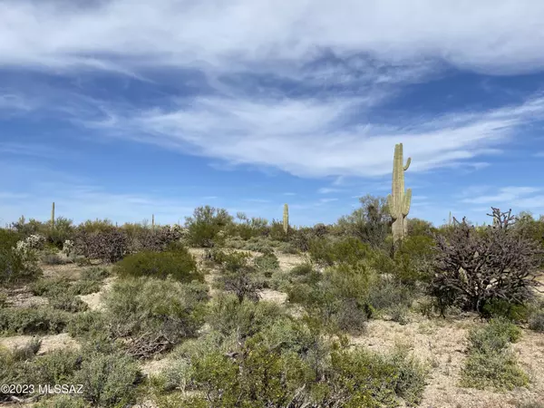 Marana, AZ 85658,40acres S Serano Drive