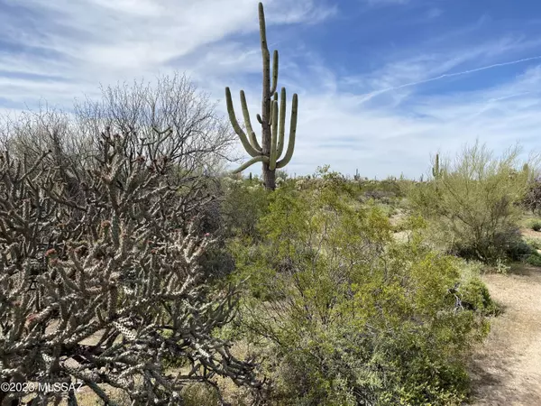 Marana, AZ 85658,40acres S Serano Drive