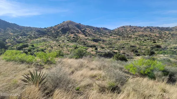 Bowie, AZ 85605,1138 ACRES S Little Emigrant Road #00