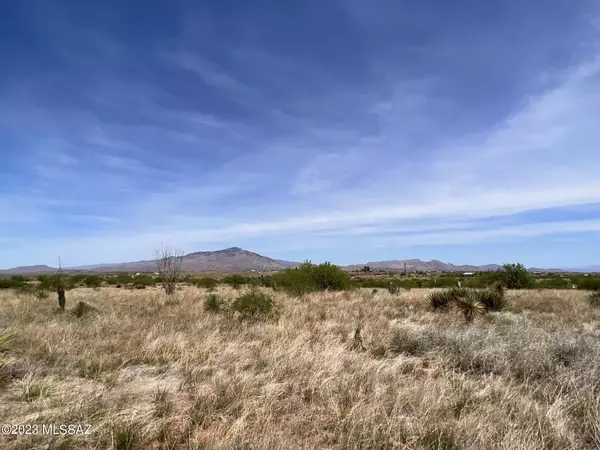 Benson, AZ 85602,25135 E Navajo Trail #214