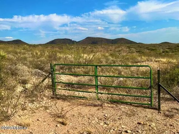 Douglas, AZ 85607,Perilla Mountain Ranch #86 37.64 Acres  #-