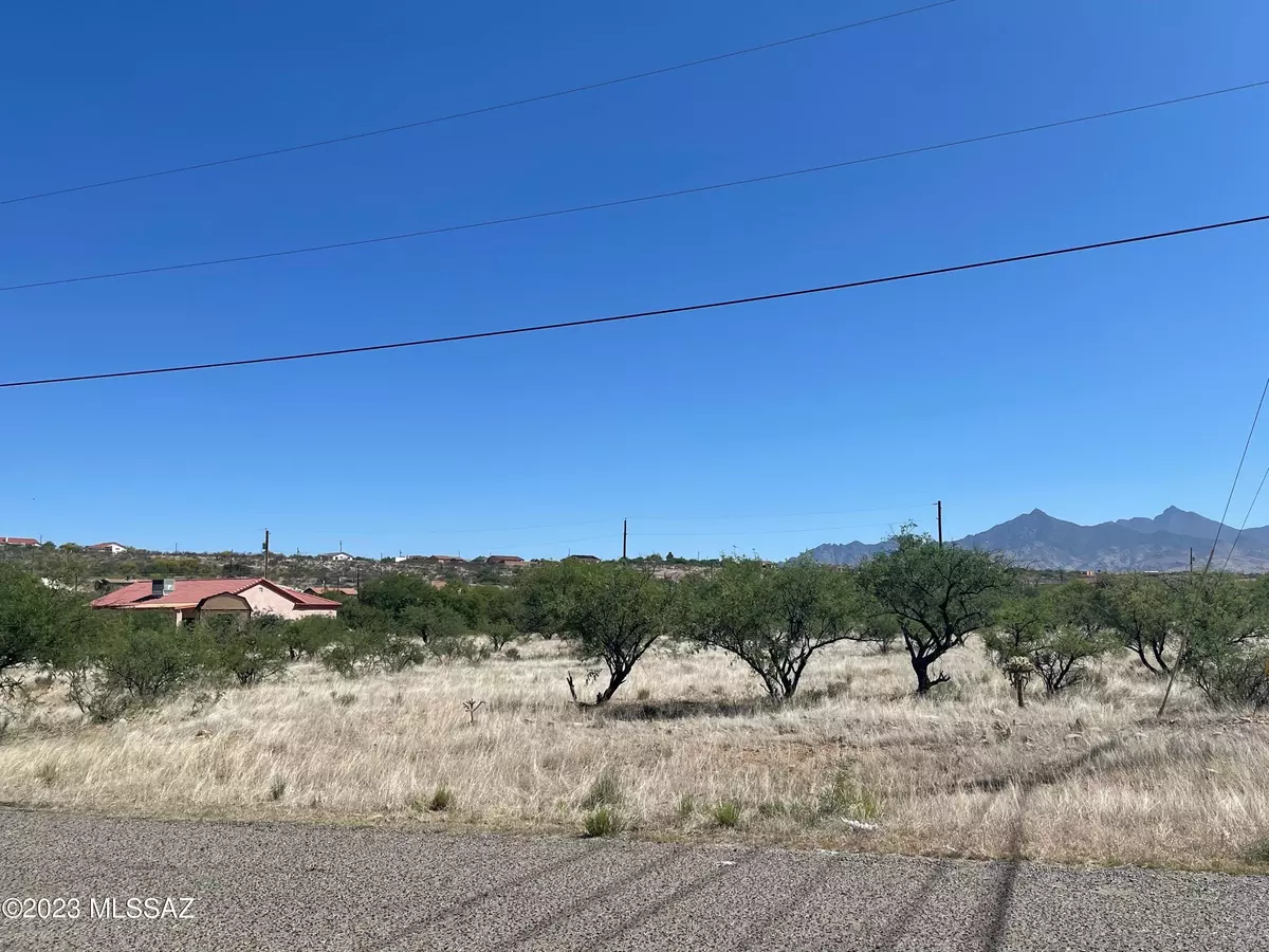 Rio Rico, AZ 85648,1868 Circulo Canada