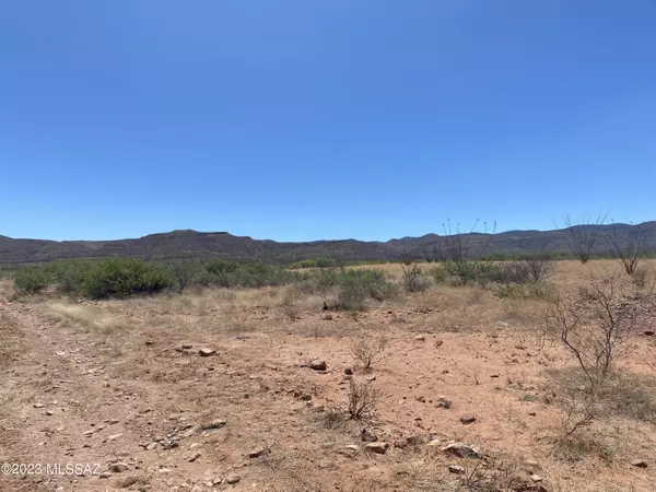 Tombstone, AZ 85638,40 Acres E Jones Boulevard #-