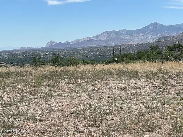 Rio Rico, AZ 85648,500 Camino Hombre de Oro  #42