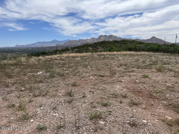 Rio Rico, AZ 85648,500 Camino Hombre de Oro  #42