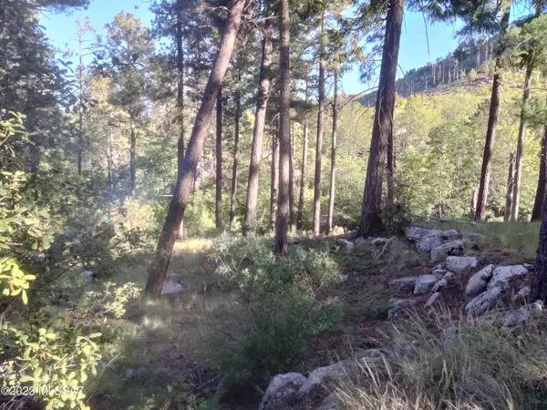 11173 E Carter Canyon Road #33, Mt. Lemmon, AZ 85619