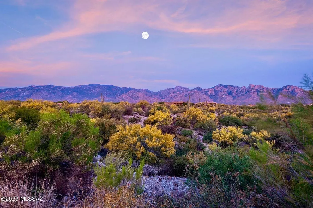 Oro Valley, AZ 85755,15 W Shimmering Sand Place #493