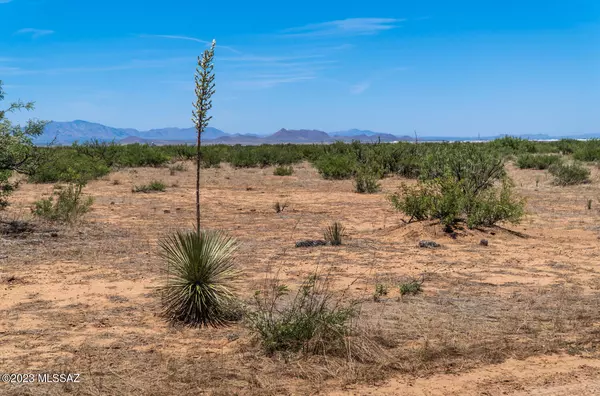 Pearce, AZ 85625,5 Acres Catclaw Rd  #17