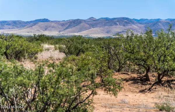 5 Acres Catclaw Rd  #17, Pearce, AZ 85625