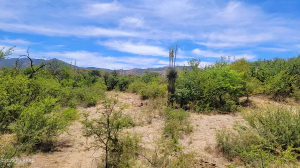 Oracle, AZ 85623,4.57 acres S Apache Girl Trail