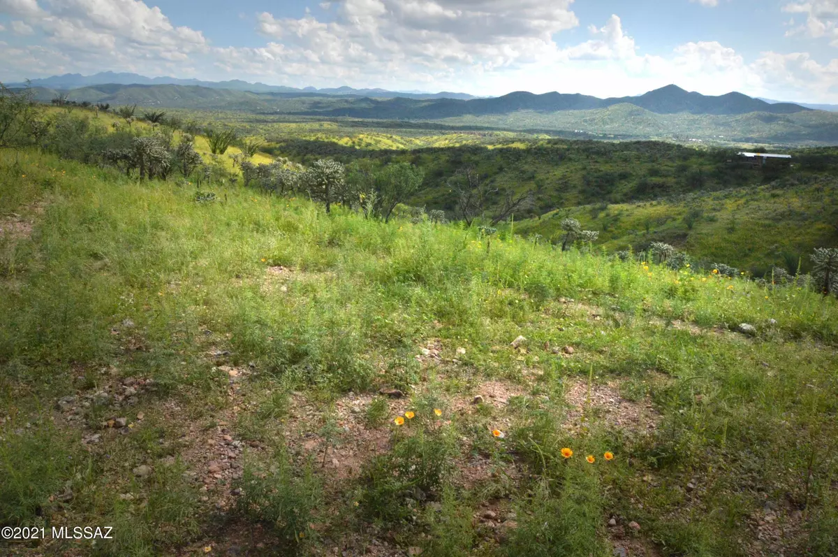 Rio Rico, AZ 85648,TBD Sonoita Creek Ranch Road #86