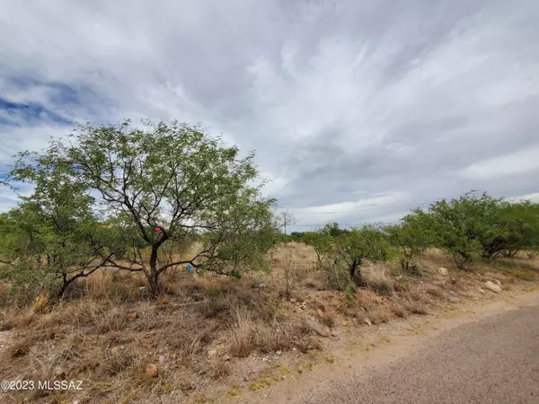 Rio Rico, AZ 85648,981 Camino Estrella  #198