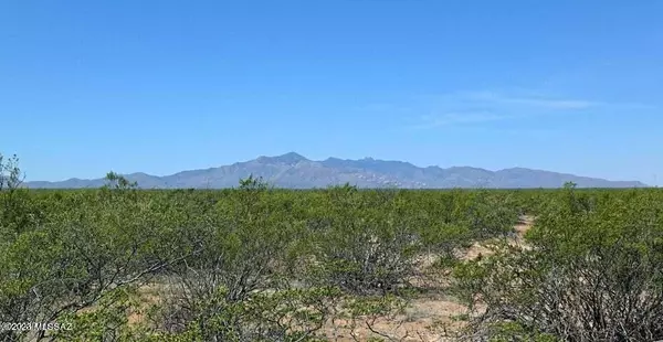 San Simon, AZ 85632,TBD Wood Canyon Rd 19.17 Acres