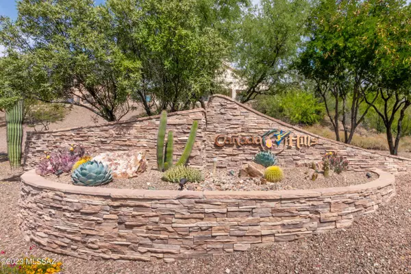 10755 N Ridgewind Court, Oro Valley, AZ 85737