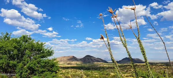 Elfrida, AZ 85610,11691 N Getaway Road